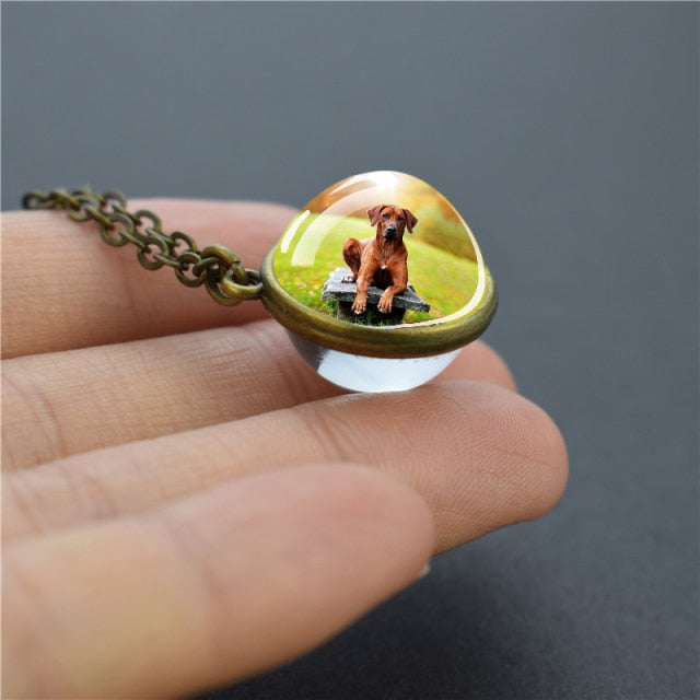 Crystal Sphere Pet Dog Jewelry - Magicalplatform 